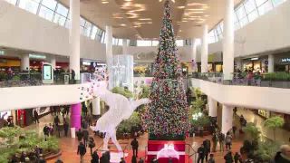 Link to Video | Agence France-Presse