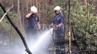 Link to Video | firefighter, February 15, profession, Agence France-Presse, fire department