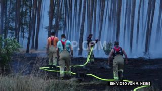 Link to Video | Agence France-Presse