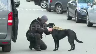 Link to Video | February 16, profession, police, police officer, police officer, Agence France-Presse