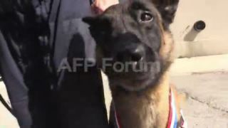 Link to Video | February 16, profession, police, police officer, police officer, Agence France-Presse