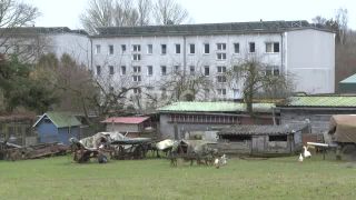 Link to Video | demonstration, February 24, protest, Agence France-Presse, rally