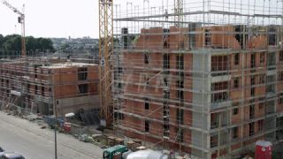 Link to Video