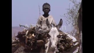Link to Video | March 14, Agence France-Presse