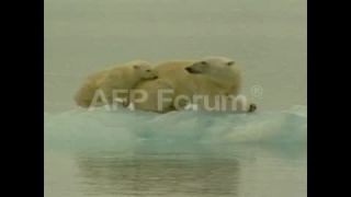 Link to Video | March 14, Agence France-Presse