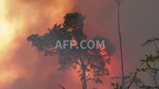 Link to Video | March 14, Agence France-Presse