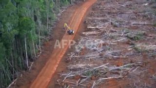 Link to Video | March 14, Agence France-Presse