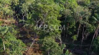 Link to Video | March 14, Agence France-Presse