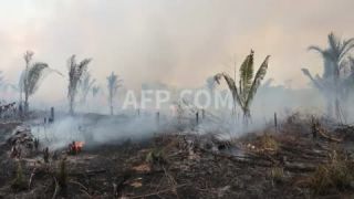 Link to Video | March 14, Agence France-Presse