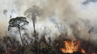 Link to Video | March 14, Agence France-Presse