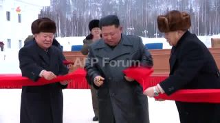 Link to Video | military parade, show of force, March 14, Agence France-Presse, parade