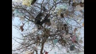 Link to Video | March 19, Agence France-Presse