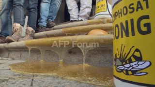 Link to Video | demonstration, March 20, protest, Agence France-Presse, rally
