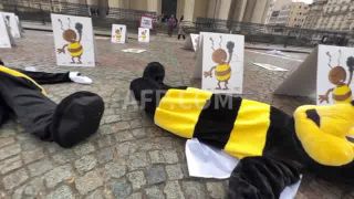 Link to Video | demonstration, March 20, protest, Agence France-Presse, rally