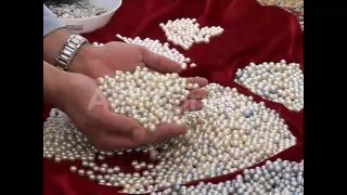 Link to Video | March 26, Agence France-Presse
