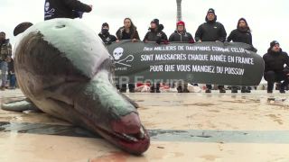 Link to Video | demonstration, March 26, protest, Agence France-Presse, rally