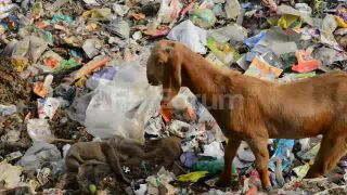 Link to Video | March 27, Agence France-Presse