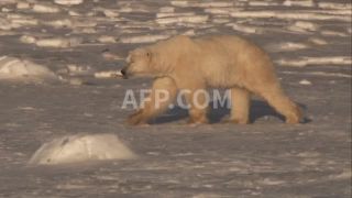Link to Video | March 27, Agence France-Presse