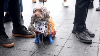 Link to Video | lesbian, demonstration, transsexualism, March 27, protest, Agence France-Presse, gender non-conformity, bisexuality, LGBT social movements, LGBT community, pride parade, gay, homosexuality, lesbianism, rally