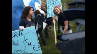 Link to Video | demonstration, whale, protest, Agence France-Presse, whaling, rally, wildlife conservation