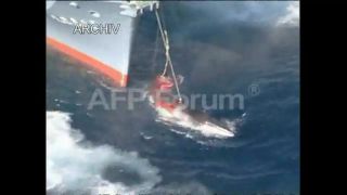 Link to Video | demonstration, whale, protest, Agence France-Presse, whaling, rally, wildlife conservation