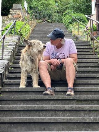 Link to Photo | color, June, stairs, summer, dog, perception, Germany, Rassehund, amateur photography, color, Picardy Shepherd, herding dog, puppy, dog breed, 2023, human, human-animal relationships, tourist, June 2021, Beilstein, paid time off, animal, Yumi