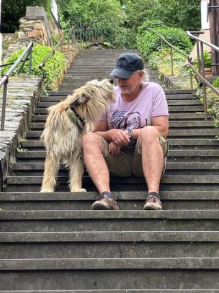 Link to Photo | color, June, stairs, summer, dog, perception, Germany, Rassehund, amateur photography, color, Picardy Shepherd, herding dog, puppy, dog breed, 2023, human, human-animal relationships, tourist, June 2021, Beilstein, paid time off, animal, Yumi