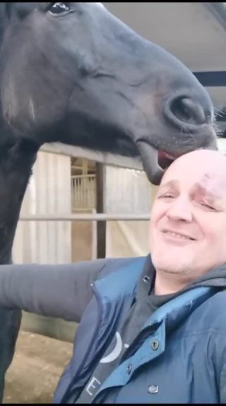 Link to Video