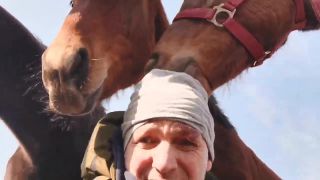 Link to Video | selfie, fun, Tierliebe, laughter, German, nostril (of horses), color, head, humor, amateur film, human, human-animal relationships, horse, animal, man