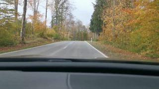 Link to Video