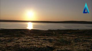 Link to Video | landscape, Canada, 2010, Newfoundland and Labrador, color, Atlantic Productions, Newfoundland, nature