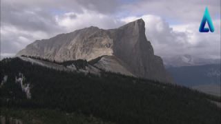 Link to Video | landscape, Canada, 2010, Newfoundland and Labrador, color, Atlantic Productions, Newfoundland, nature