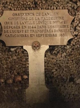 Link zum Foto | Schädel, Frankreich, Katakombe, Dunkelheit, Farbe, Knochen, Katakomben von Paris, Tod, unterirdische Struktur, Paris