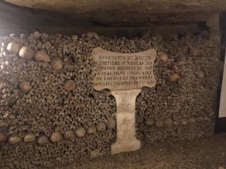 Link zum Foto | Schädel, Frankreich, Katakombe, Dunkelheit, Farbe, Knochen, Katakomben von Paris, Tod, unterirdische Struktur, Paris