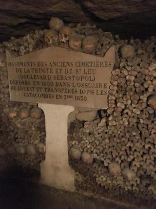 Link zum Foto | Schädel, Frankreich, Katakombe, Dunkelheit, Farbe, Knochen, Katakomben von Paris, Tod, unterirdische Struktur, Paris