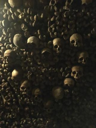 Link zum Foto | Schädel, Frankreich, Katakombe, Dunkelheit, Farbe, Knochen, Katakomben von Paris, Tod, unterirdische Struktur, Paris