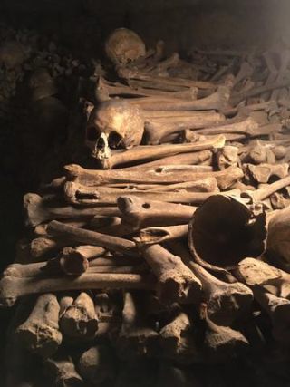 Link zum Foto | Schädel, Frankreich, Katakombe, Dunkelheit, Farbe, Knochen, Katakomben von Paris, Tod, unterirdische Struktur, Paris