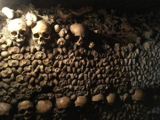 Link zum Foto | Schädel, Frankreich, Katakombe, Dunkelheit, Farbe, Knochen, Katakomben von Paris, Tod, unterirdische Struktur, Paris