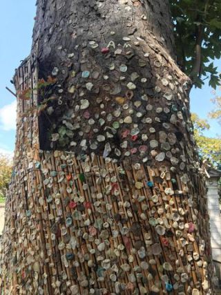 Link to Photo | photograph, France, grave, color, cemetery, death, Europe, day, Paris, Père Lachaise