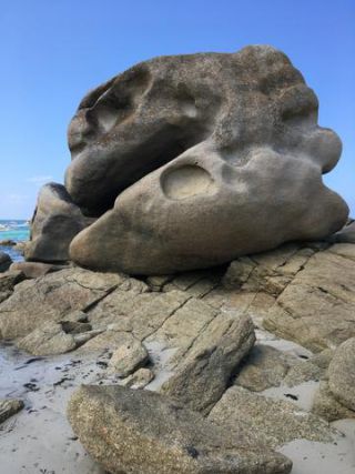 Link to Photo | photograph, amateur photography