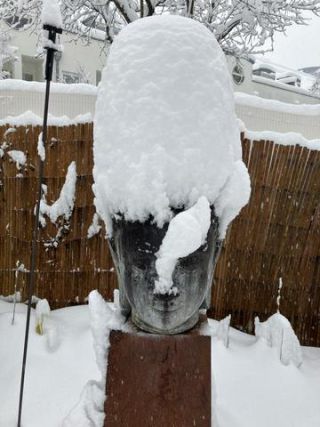 Link to Photo | photograph, amateur photography