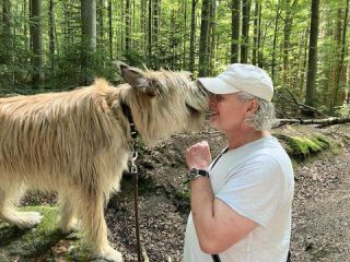 Link to Photo | photograph, amateur photography