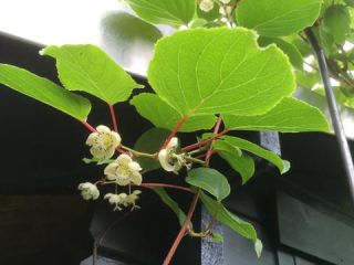 Link to Photo | photograph, amateur photography