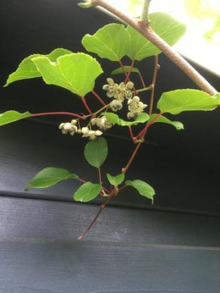 Link to Photo | photograph, amateur photography