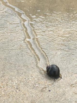 Link to Photo | photograph, amateur photography