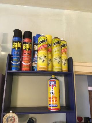 Link to Photo | photograph, amateur photography