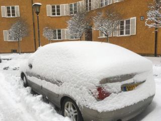 Link to Photo | photograph, amateur photography