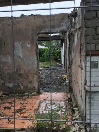 Link to Photo | photograph, amateur photography