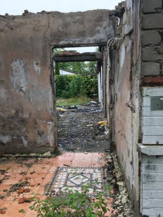 Link to Photo | photograph, amateur photography