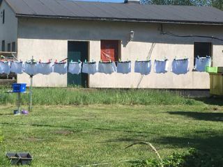 Link to Photo | photograph, amateur photography